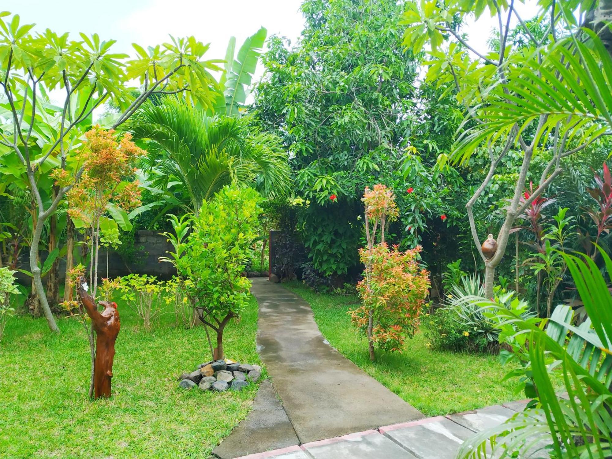 Asih Homestay Pemuteran  Luaran gambar